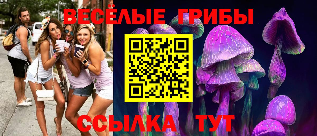 Галлюциногенные грибы GOLDEN TEACHER Арзамас